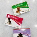 안중온누리약국 이미지