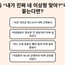너말 | 테토남은 왜 자꾸 너를 떠보는 말을 할까? 테스트 후기 + 링크