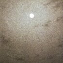 황혼글쓰기 이미지