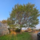 원호농장(1) 이미지