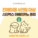 캣 미용실 이미지