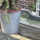 또또백반 | 성신여대 제제집 ; 제육 백반 혼밥 또또또또 간 집