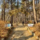 수리동동