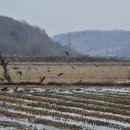 은거당 터 이미지