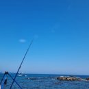 🎣 영덕 대진해수욕장 근처 원투낚시 후기｜고기는 없었지만 추억은 남았다! 채비 손실 폭발한 하루