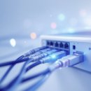 10Gbps 프리미엄 홈네트워크 구축 후 체감 속도는?