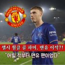 민파머