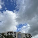 머큐어 앰배서더 제주 이미지