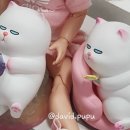 비비캣 이미지