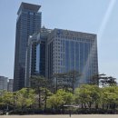 금융감독원 이미지