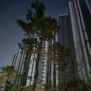 고양대로1407번길 이미지