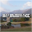 울산 파3(파쓰리) 골프연습장 영남알프스cc 가격 코스 후기
