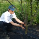 효재농장 이미지