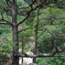 왕피천생태탐방로 이미지