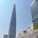 [21주~24주 임신기록]턱뾰루지와의 전쟁/정밀초음파검사/임신중기 황금기 시작!?