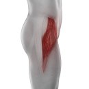 PT의 품격 이미지