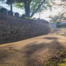 광신상회 이미지