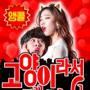 연극 - 고양이라서 괜찮아 이미지