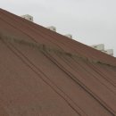 야탑중학교 이미지