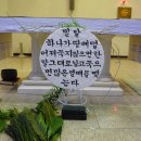 밀알꽃꽂이
