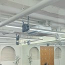 웰빙요가(입문) 이미지