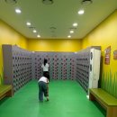 미로월드 | [홍천 여행] 대형 키즈카페 끝판왕! 비발디파크 '앤트월드' 6살 아이랑 내돈내산 후기