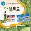 매실농장 이미지