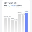 오렌지팟 이미지
