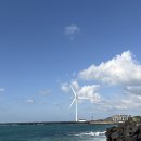 우진목장 | 제주애견동반여행코스 - 우진해장국, 시소카이막애월...월령리선인장군락, 성이시돌목장, 작산애월흑돼지