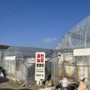 하빈농장 이미지