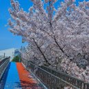 (버스)송탄공단입구 이미지