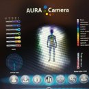 라디오닉스 이미지