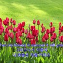 호주 해리스 팜 마켓 이미지