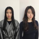 더블유본헤어 이미지