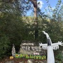 홍천와캠핑 | 홍천 산으로캠핑장 가을캠핑 먹부림 기록