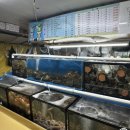 뚜뚜하니 | [부산여행] 부산으로 떠난 뚜뚜의 여행