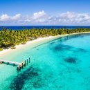 cocos(코코스) 이미지