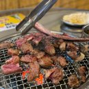 백이집소갈빗살