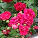 백현약국 이미지