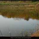 아화2리 이미지