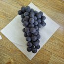 산속에아침 이미지