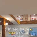 위디위키 이미지