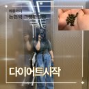 논현역 6번출구 뒤 | 논현역 그램한의원 | 다이어트 한약 시작 전 첫 방문 후기 (feat. 그램한의원 베이직 처방)