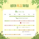 오감;그리다