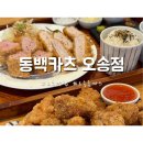오송맛집 동백카츠 오송점 바삭하고 부드러운 돈까스 푸짐한 사이드
