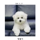 해피 - 구미시 인동32길 22-21 | 해피