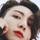 정국시 이미지