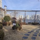 카페비엔 | 인천 삼산동 카페비엔 후기 [내돈내산]