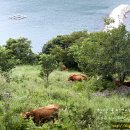 직포마을 화장실 이미지