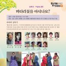 꽃가야 이미지